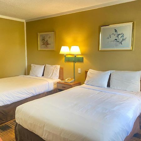 Smokies Inn - New Linens & Ultrafast Wifi - Friendliest Hospitality Guaranteed! Кодак Екстер'єр фото