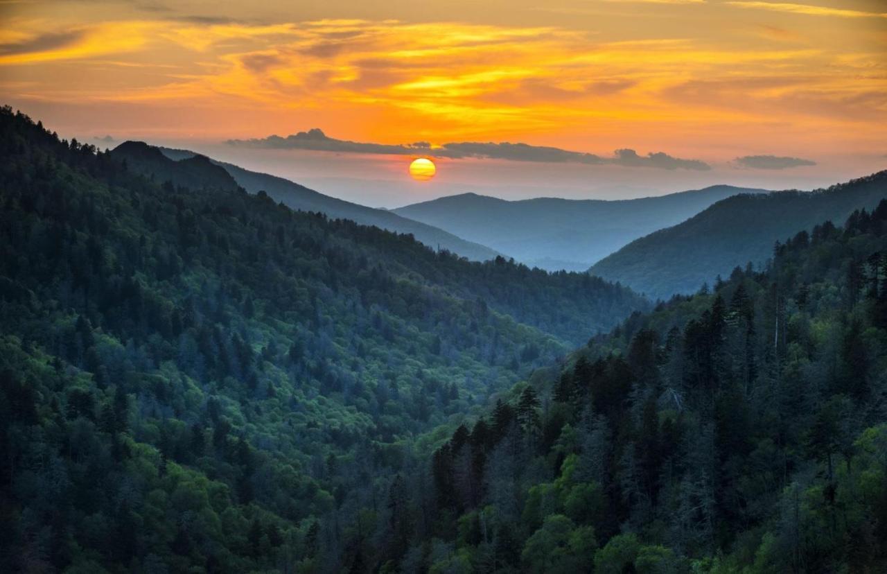 Smokies Inn - New Linens & Ultrafast Wifi - Friendliest Hospitality Guaranteed! Кодак Екстер'єр фото